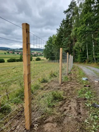 Wildzaun in Melle - fachgerechte Ausführung vor Ort